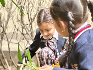 Cambridge Primary Stage-1